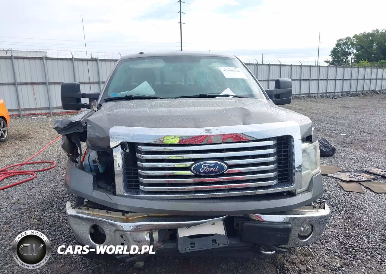 2010 Ford F-150 Fx4-Lariat-Xl-Xlt VIN:1FTFX1EV4AFA44632 - 6