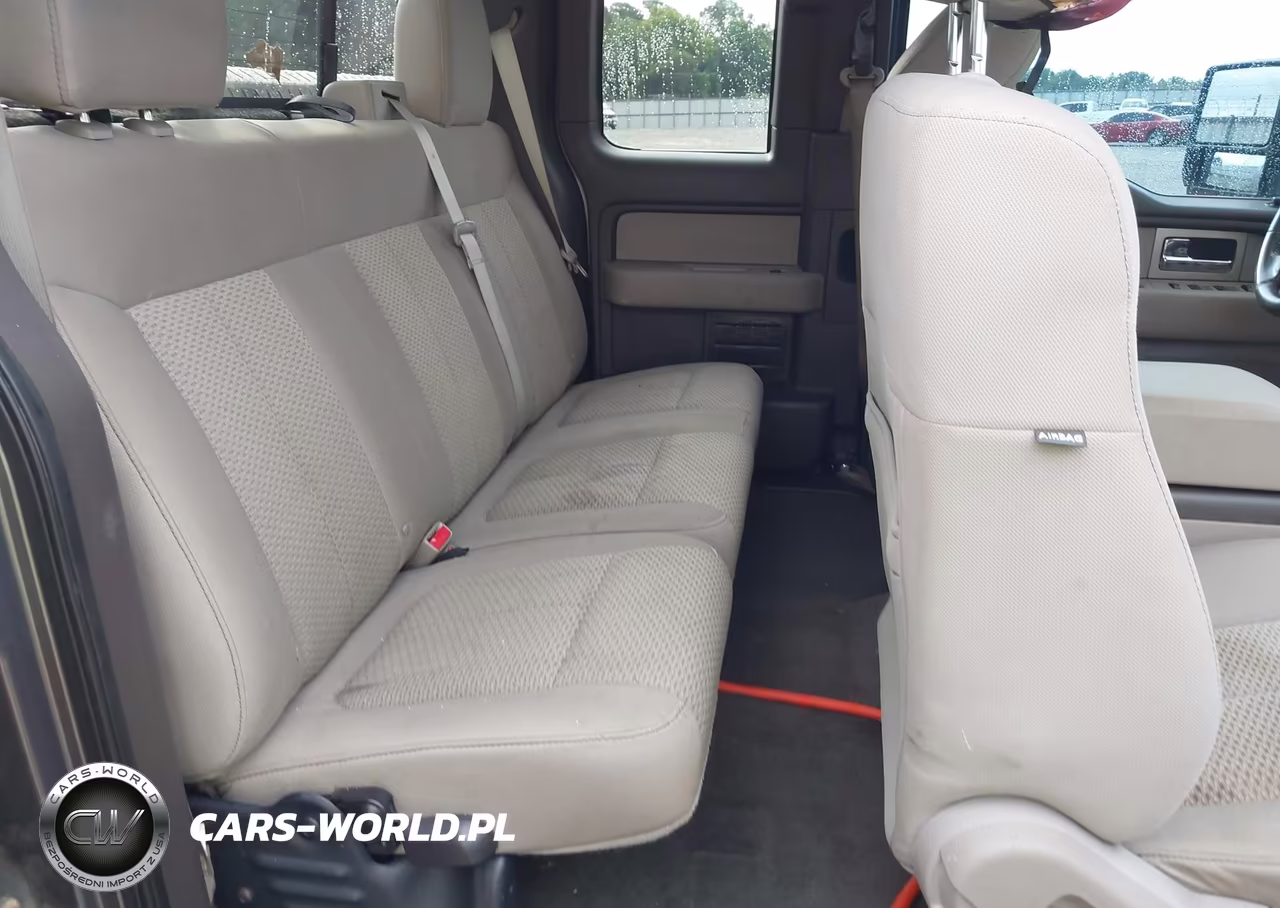 2010 Ford F-150 Fx4-Lariat-Xl-Xlt VIN:1FTFX1EV4AFA44632 - 8