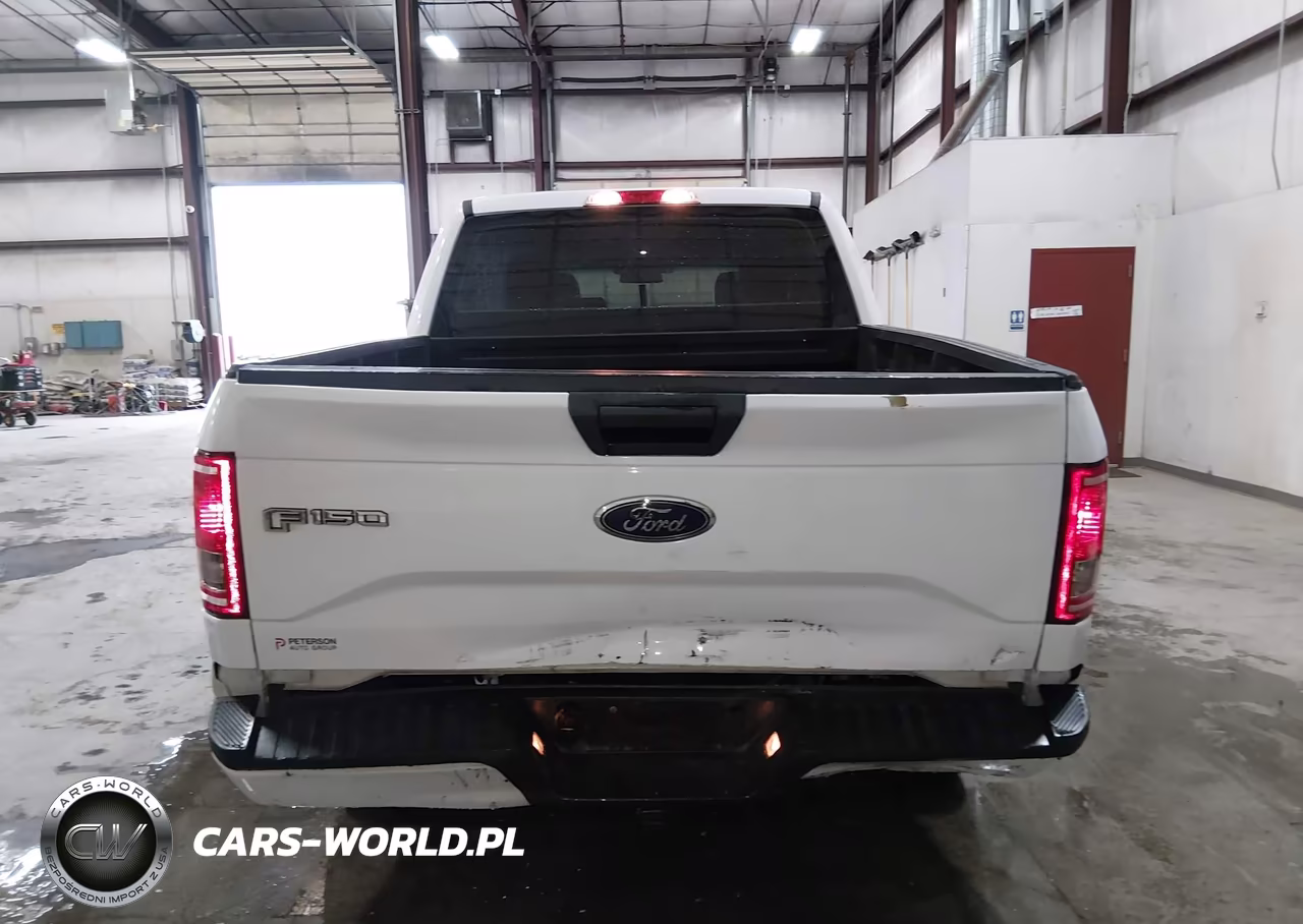 2016 Ford F-150 Lariat-Xl-Xlt VIN:1FTEW1EP8GKF83383 - 16