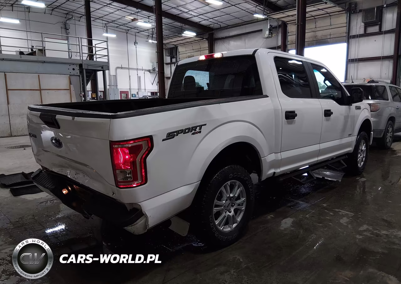 2016 Ford F-150 Lariat-Xl-Xlt VIN:1FTEW1EP8GKF83383 - 4