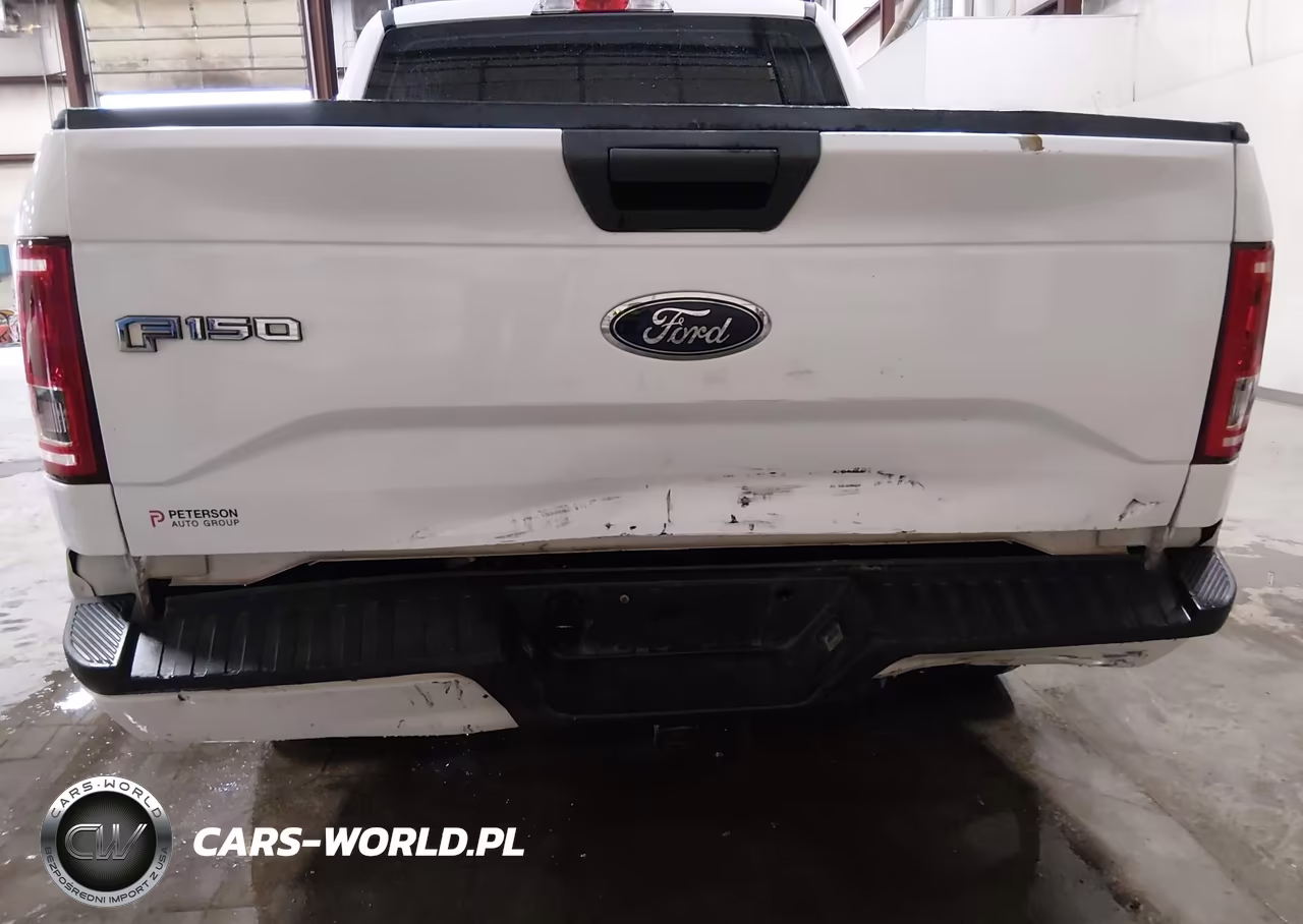 2016 Ford F-150 Lariat-Xl-Xlt VIN:1FTEW1EP8GKF83383 - 6