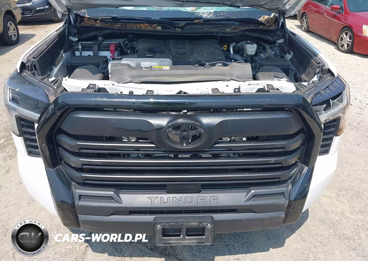 2022 Toyota Tundra Sr VIN:5TFKB5GD6NX001516 - 10