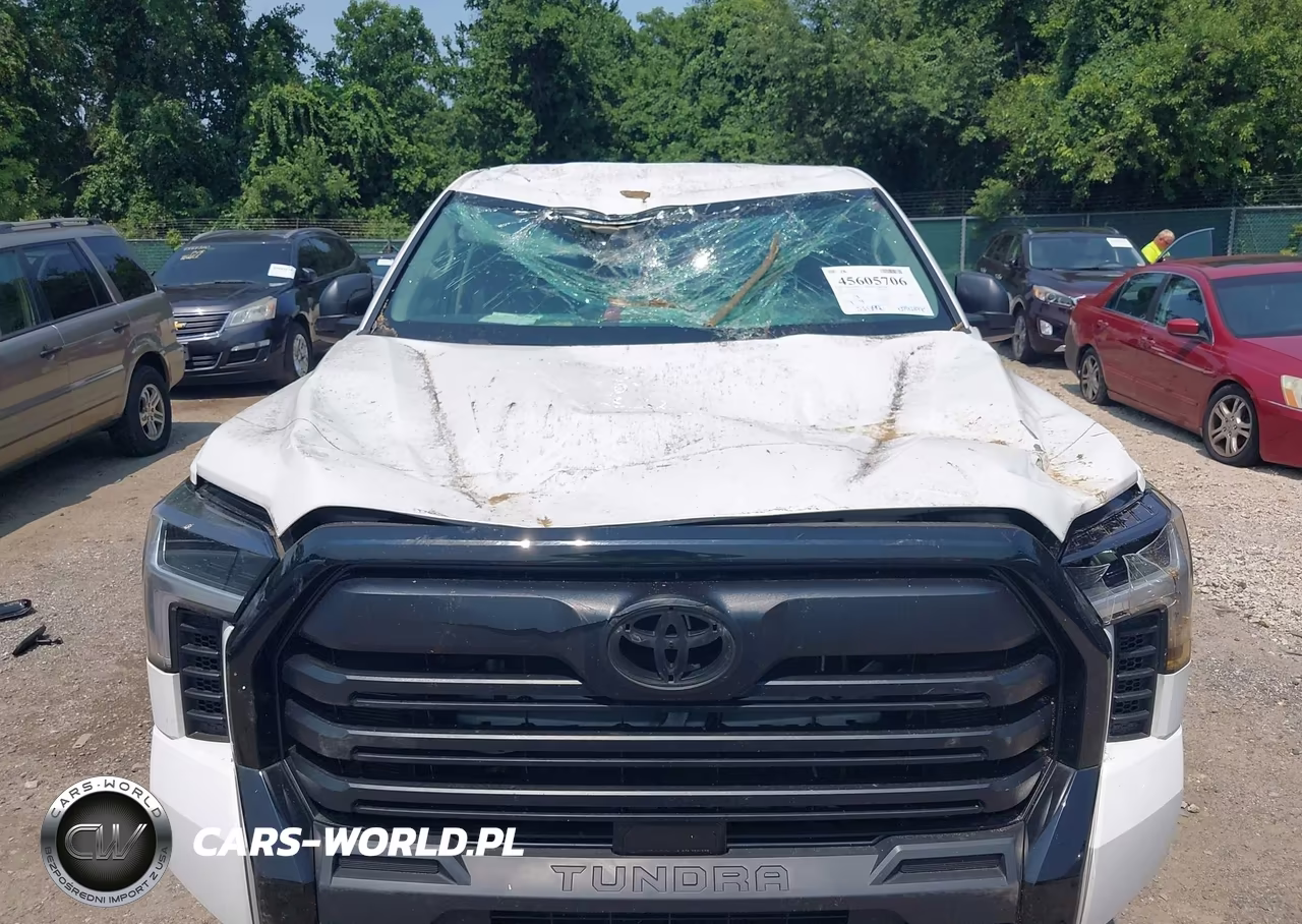 2022 Toyota Tundra Sr VIN:5TFKB5GD6NX001516 - 6