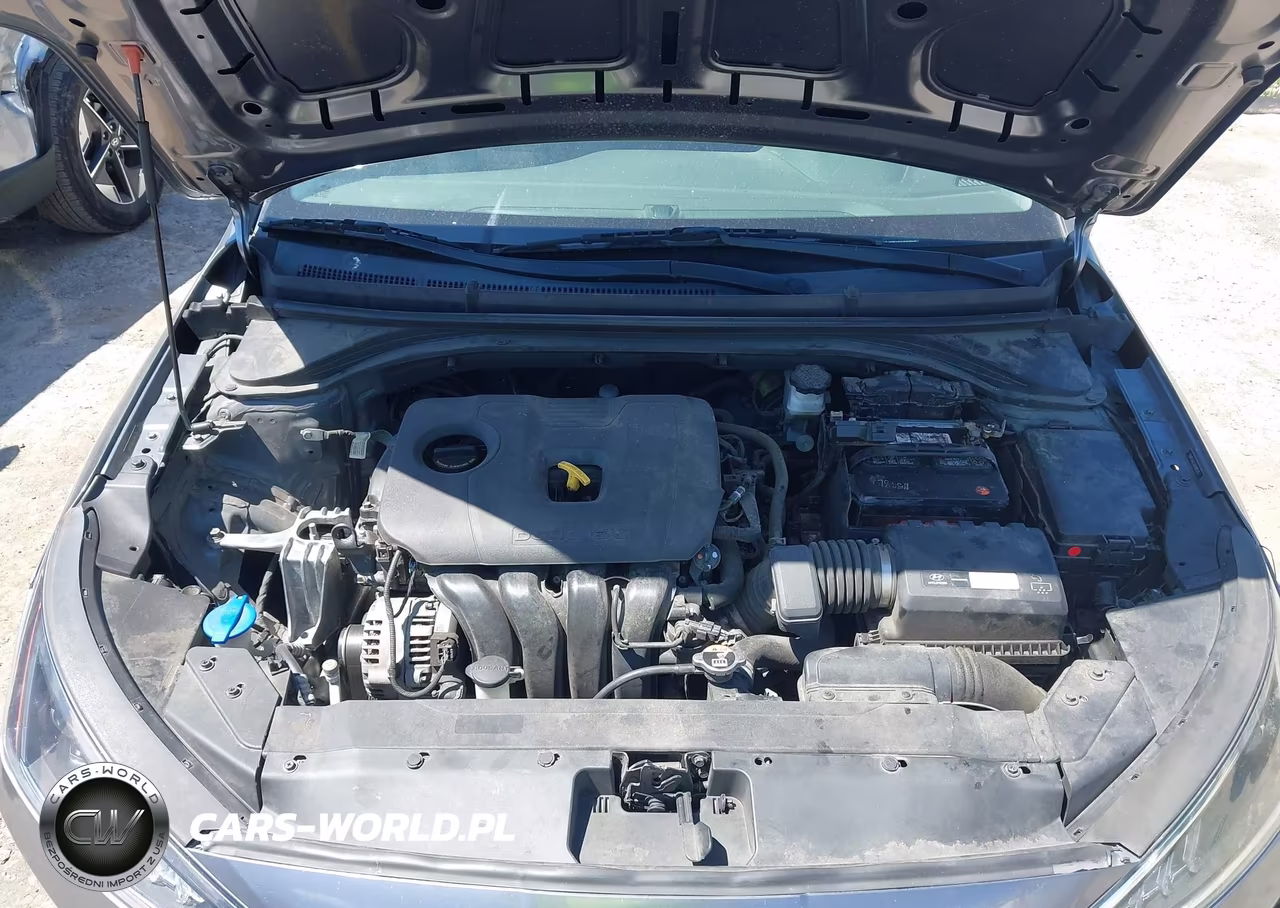 2019 Hyundai Elantra Se VIN:5NPD74LF2KH482545 - 10