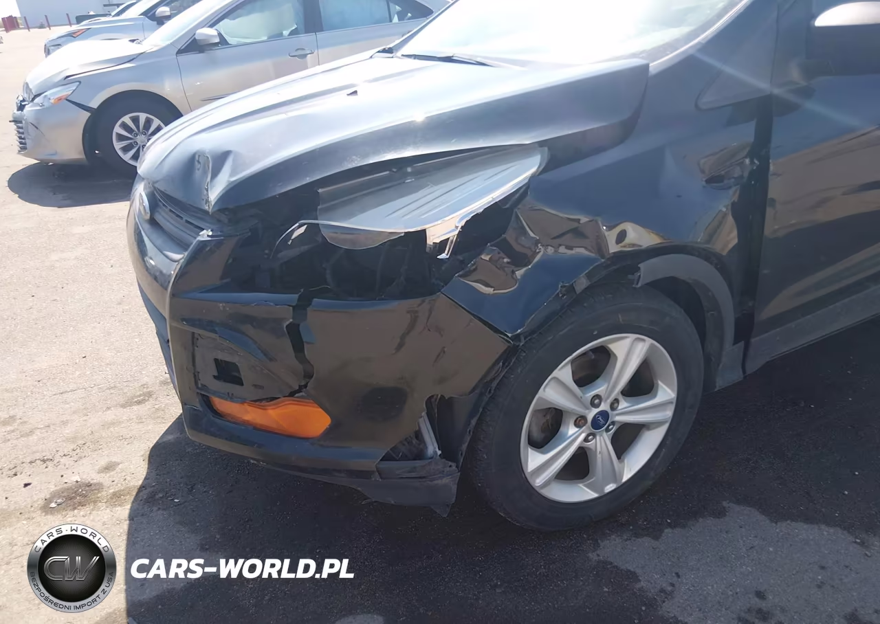 2014 Ford Escape S VIN:1FMCU0F71EUD01409 - 6