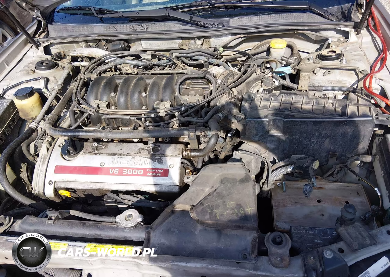 2001 Nissan Maxima Se VIN:JN1CA31D71T842785 - 10