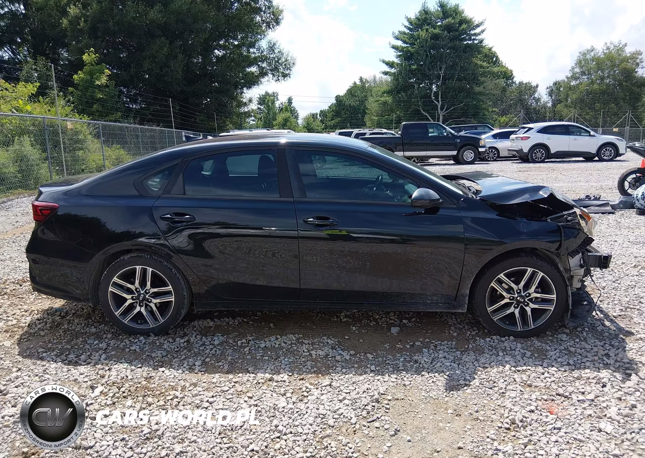 2019 Kia Forte S VIN:3KPF34AD9KE022714 - 12