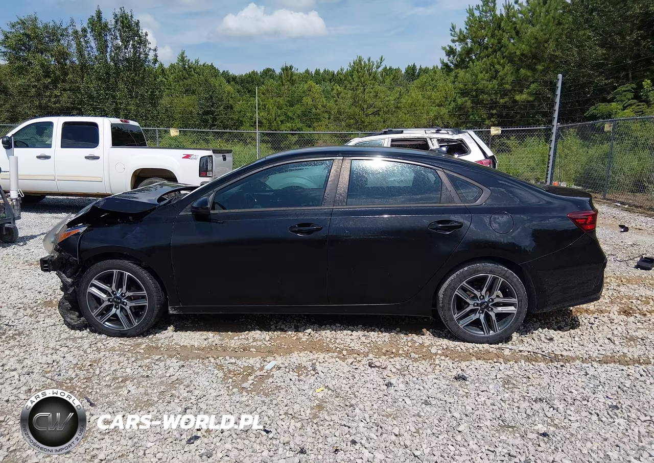 2019 Kia Forte S VIN:3KPF34AD9KE022714 - 13