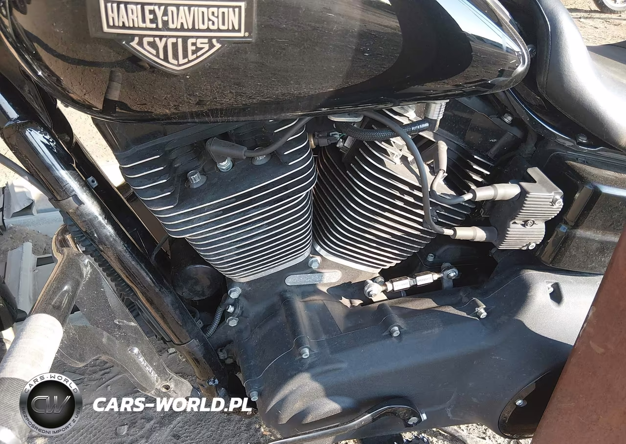 2016 Harley-Davidson Fxdls VIN:1HD1GS825GC321377 - 9