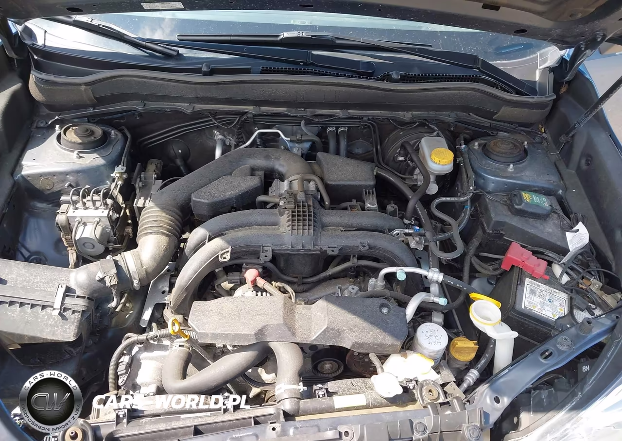 2017 Subaru Forester 2.5I VIN:JF2SJABCXHH477343 - 10