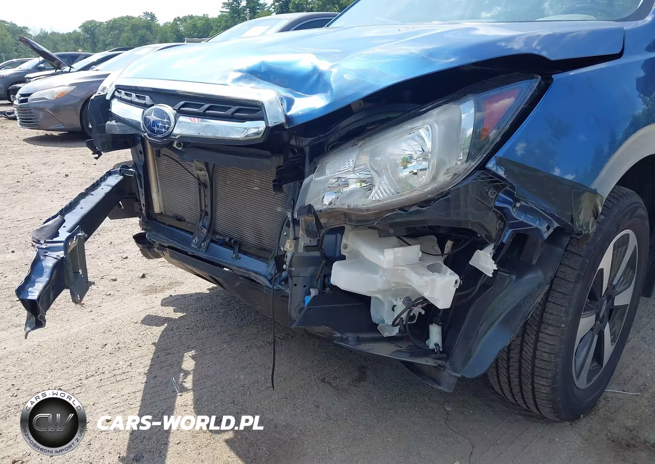 2017 Subaru Forester 2.5I VIN:JF2SJABCXHH477343 - 18