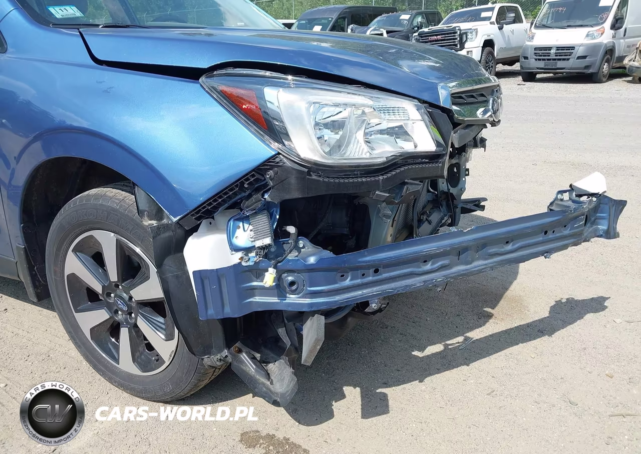 2017 Subaru Forester 2.5I VIN:JF2SJABCXHH477343 - 19