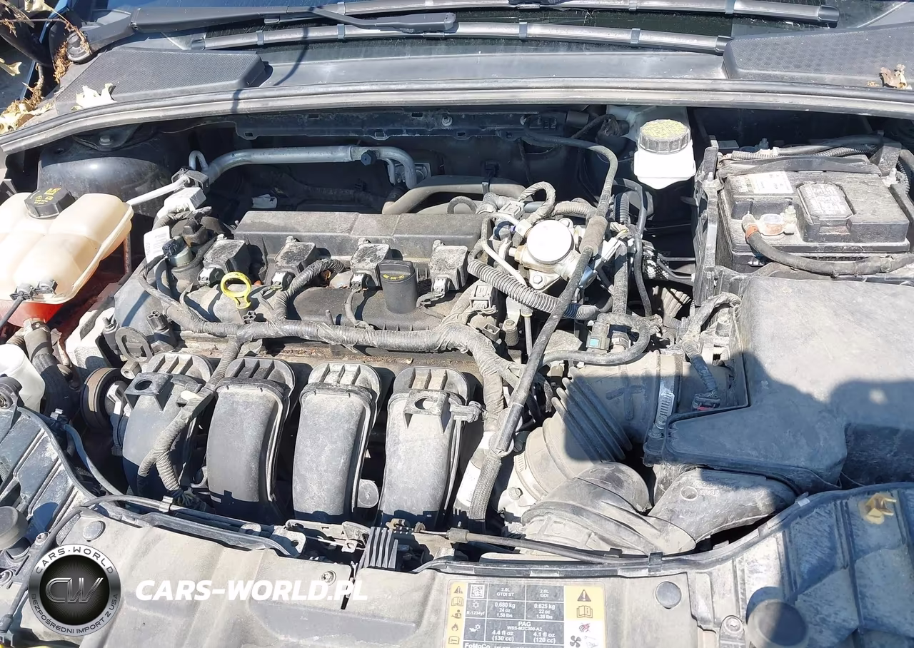2018 Ford Focus Se VIN:1FADP3F24JL216091 - 10
