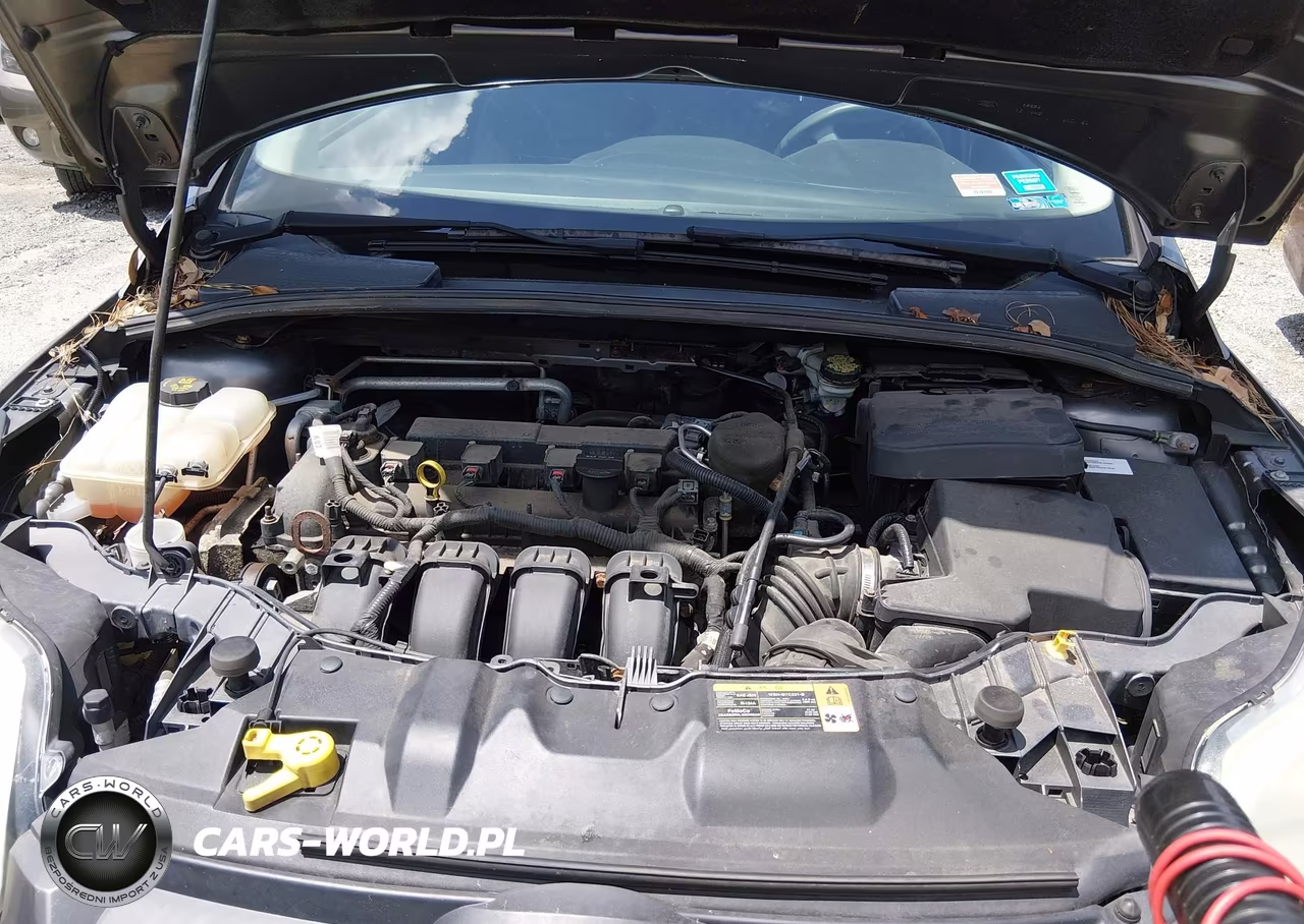 2014 Ford Focus Se VIN:1FADP3F23EL193750 - 10