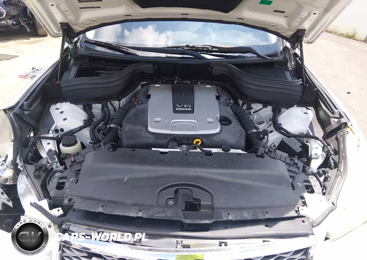 2016 Infiniti Qx50 VIN:JN1BJ0RPXGM234819 - 10