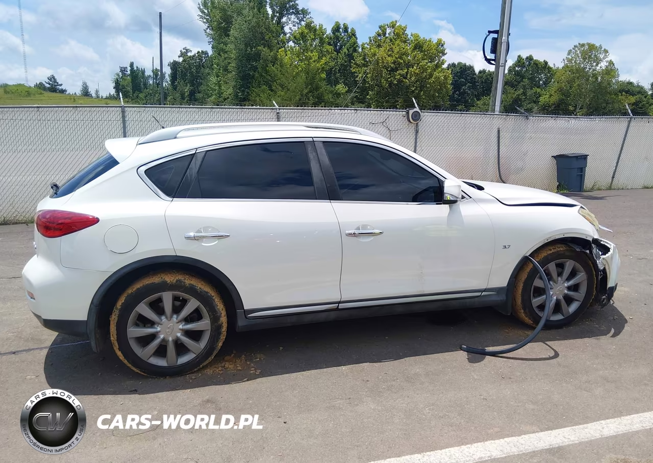 2016 Infiniti Qx50 VIN:JN1BJ0RPXGM234819 - 13