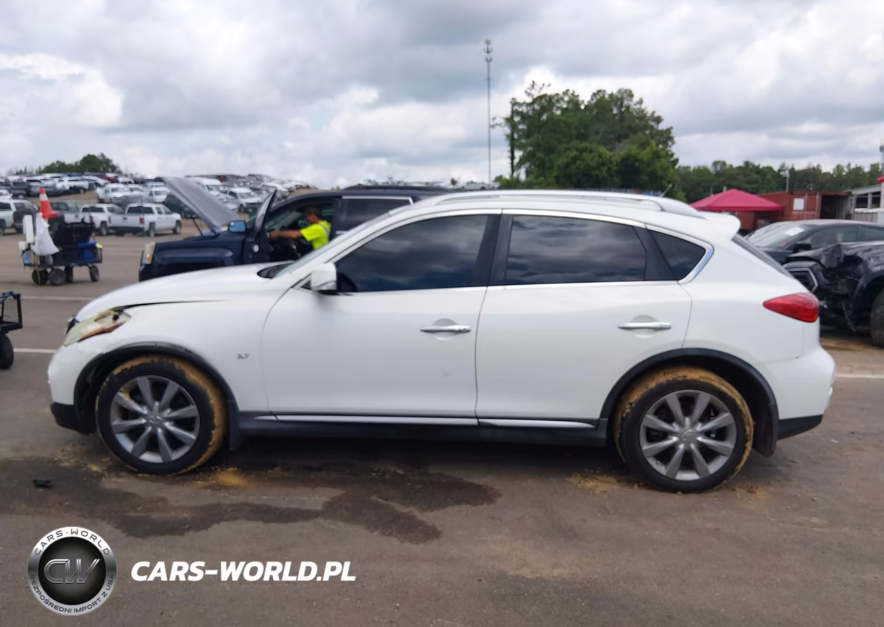 2016 Infiniti Qx50 VIN:JN1BJ0RPXGM234819 - 14
