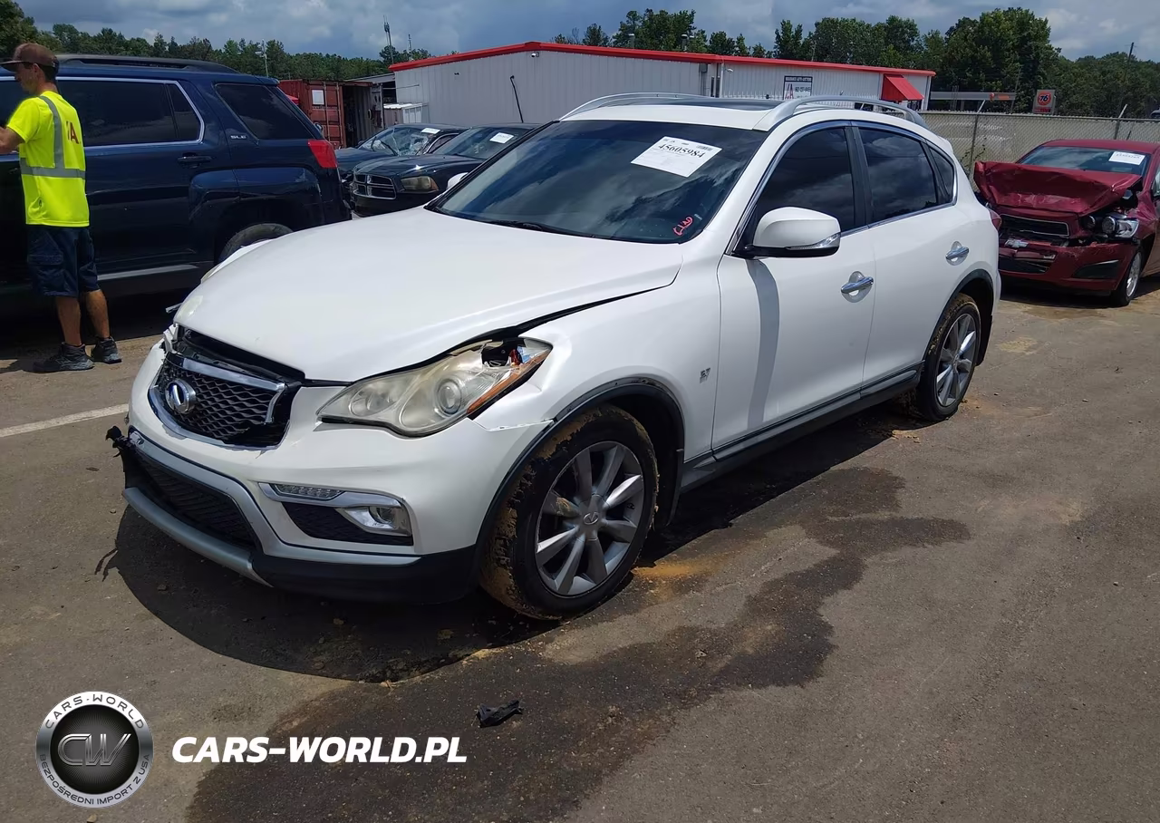 2016 Infiniti Qx50 VIN:JN1BJ0RPXGM234819 - 2
