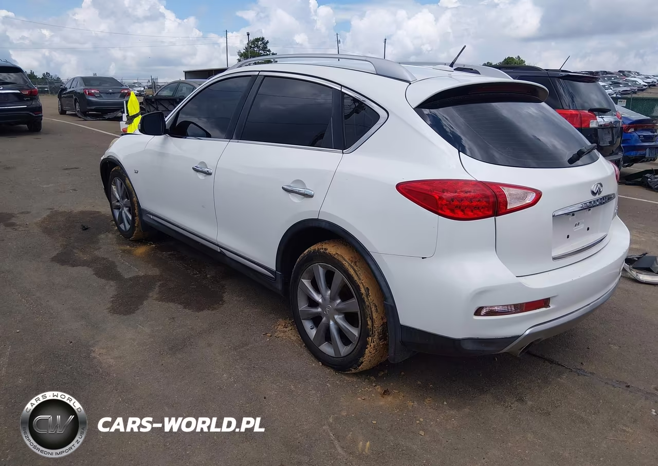 2016 Infiniti Qx50 VIN:JN1BJ0RPXGM234819 - 3
