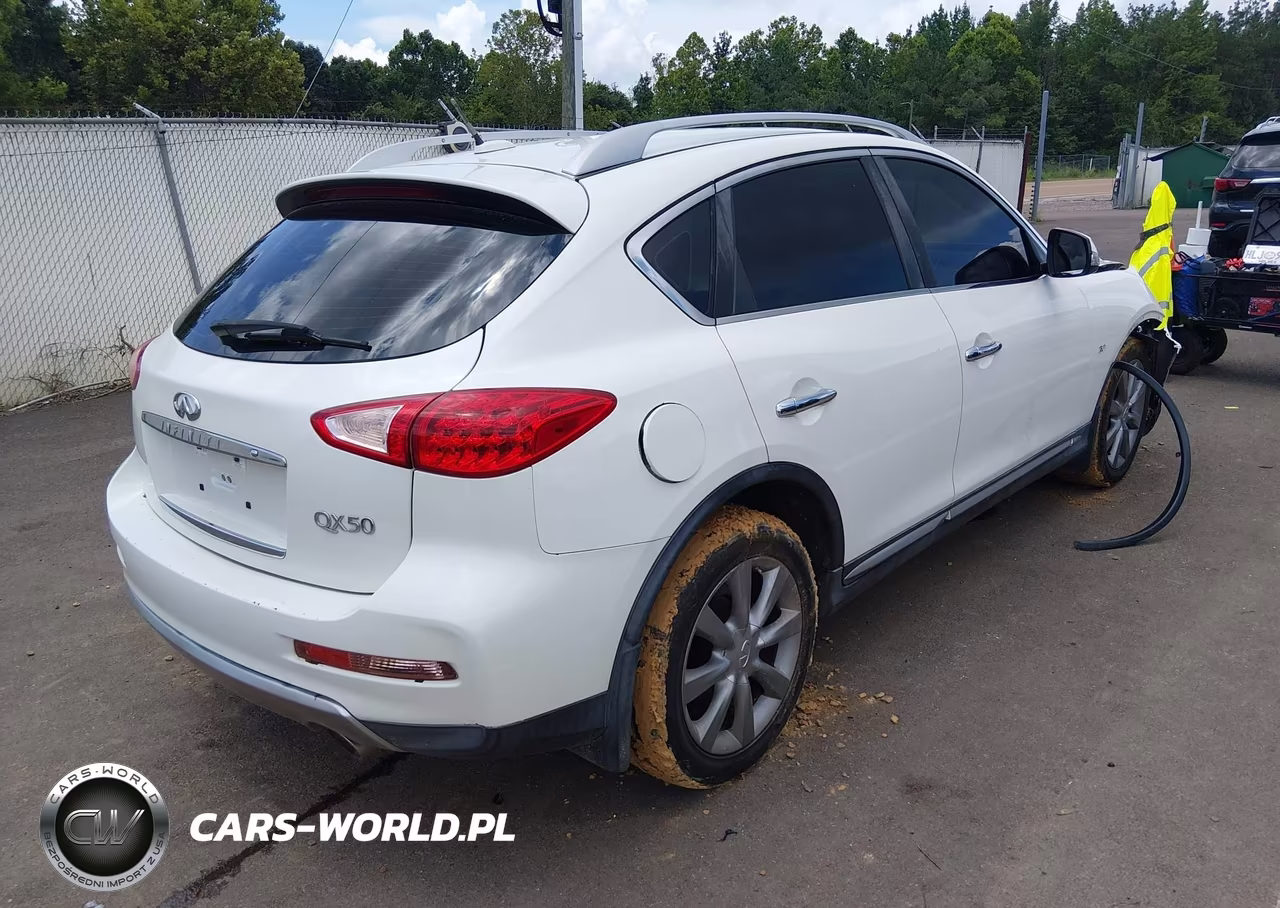 2016 Infiniti Qx50 VIN:JN1BJ0RPXGM234819 - 4