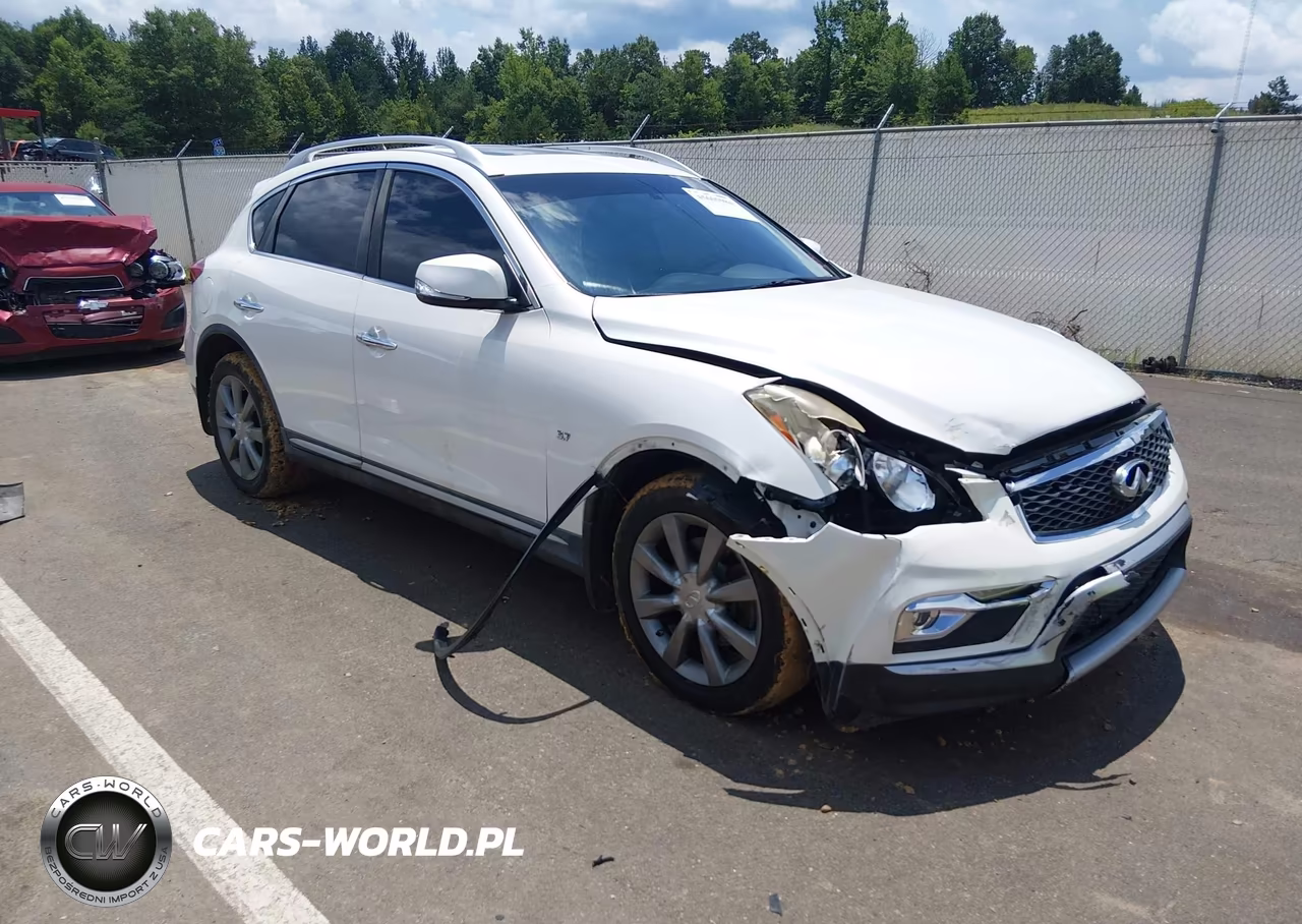 2016 Infiniti Qx50 VIN:JN1BJ0RPXGM234819 - 6