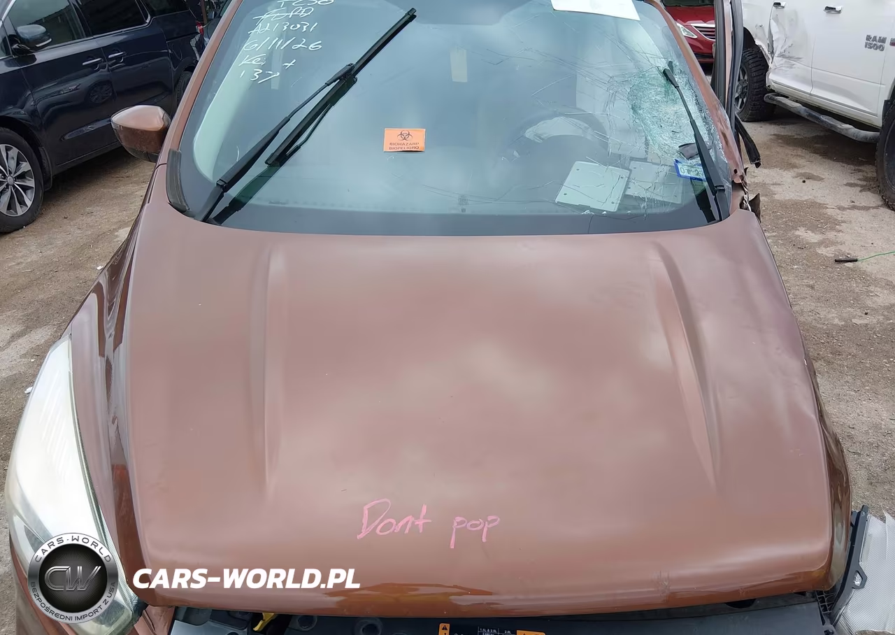2017 Ford Escape Se VIN:1FMCU0G9XHUA99190 - 10