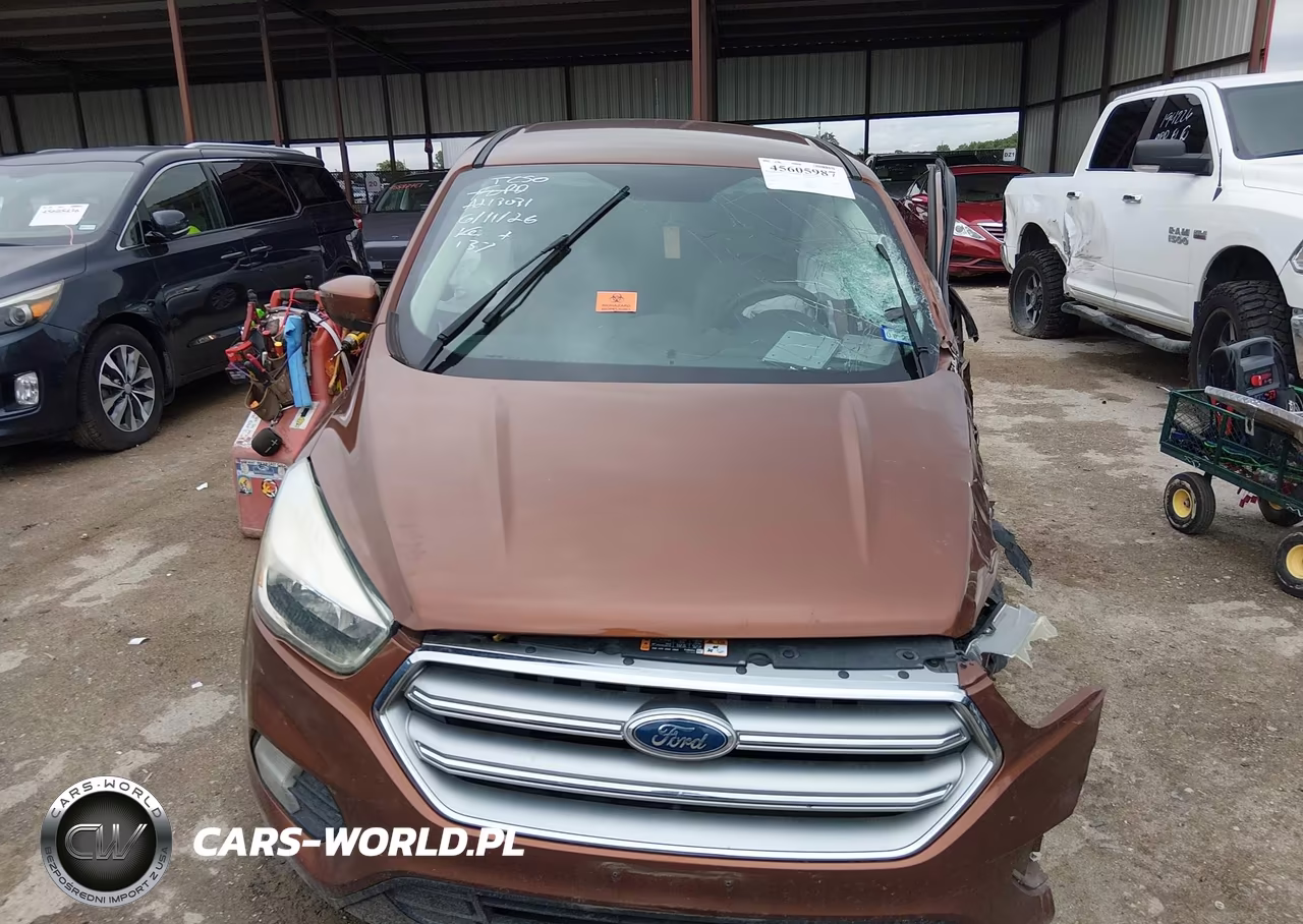 2017 Ford Escape Se VIN:1FMCU0G9XHUA99190 - 12