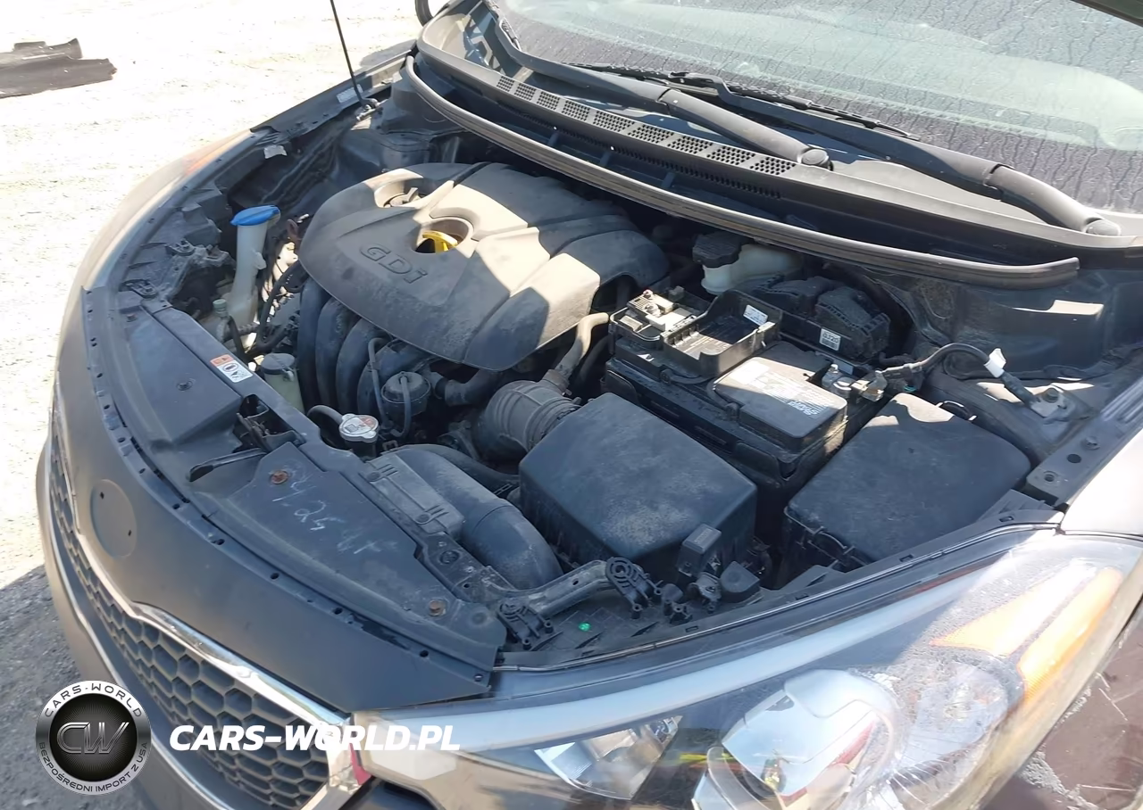 2014 Kia Forte Ex VIN:KNAFX4A8XE5056990 - 10