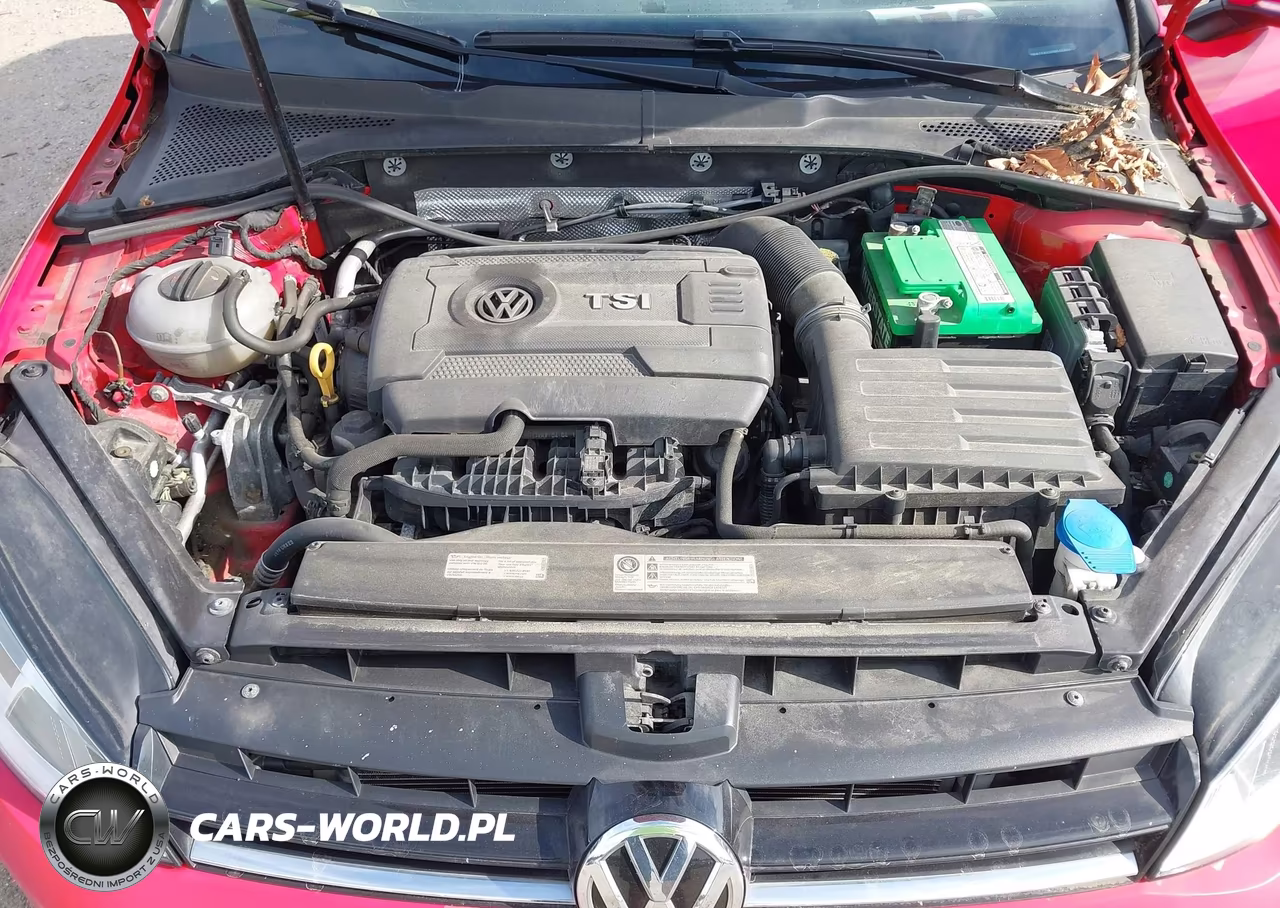 2015 Volkswagen Golf Sportwagen Tsi S 4-Door VIN:3VWA17AU2FM505889 - 10