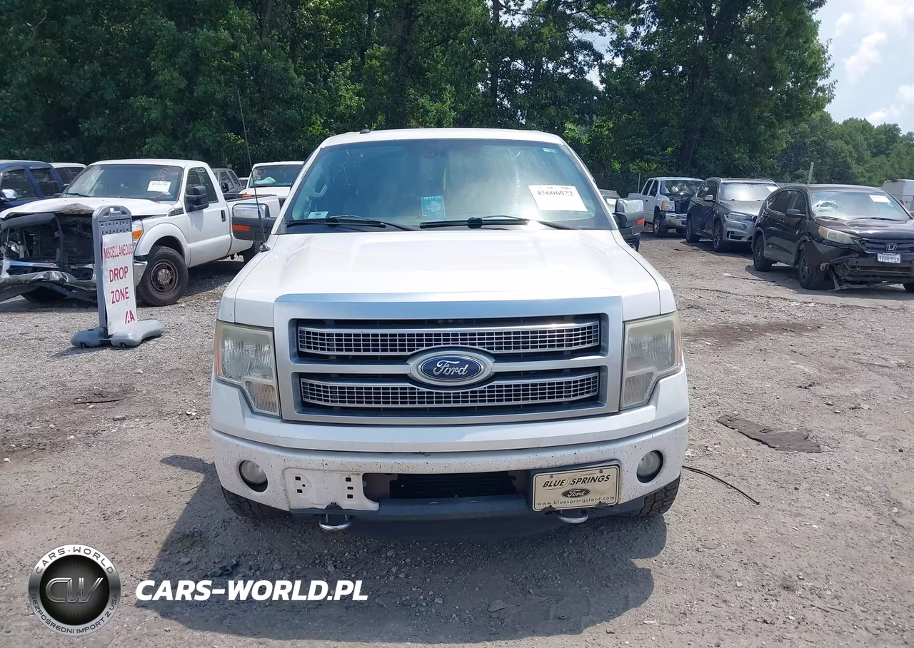 2012 Ford F-150 Platinum VIN:1FTFW1ETXCFA20212 - 12