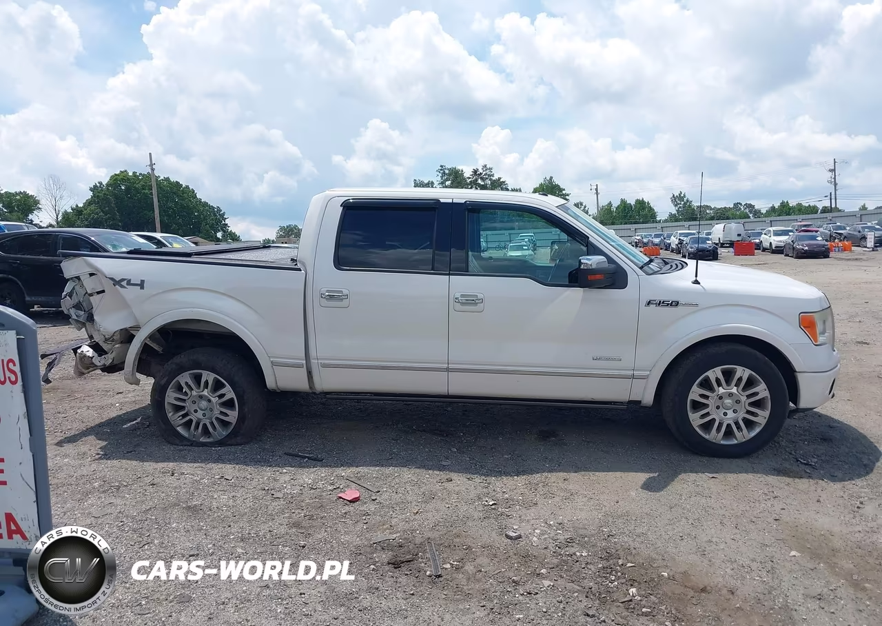 2012 Ford F-150 Platinum VIN:1FTFW1ETXCFA20212 - 13