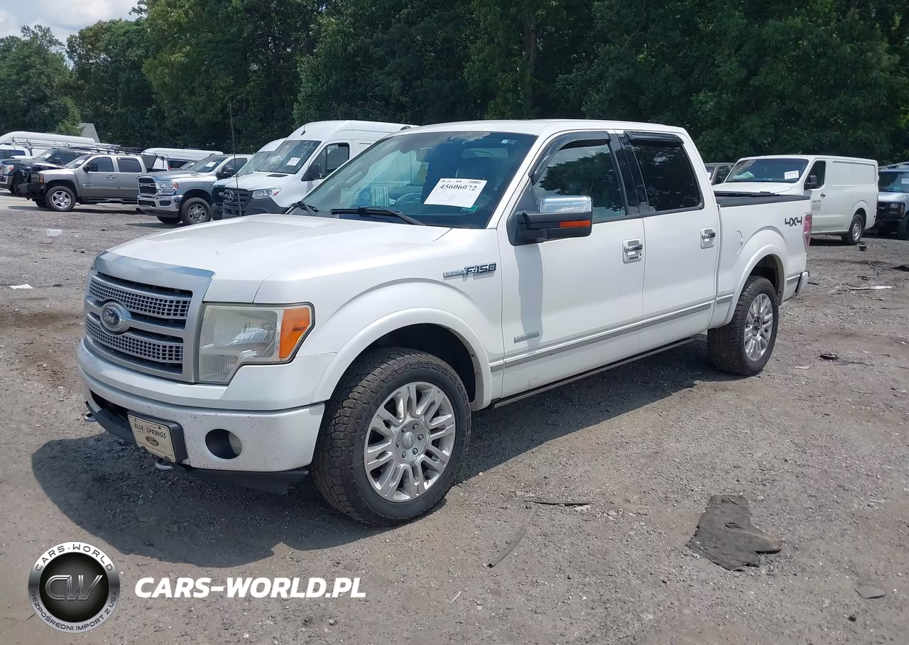 2012 Ford F-150 Platinum VIN:1FTFW1ETXCFA20212 - 2