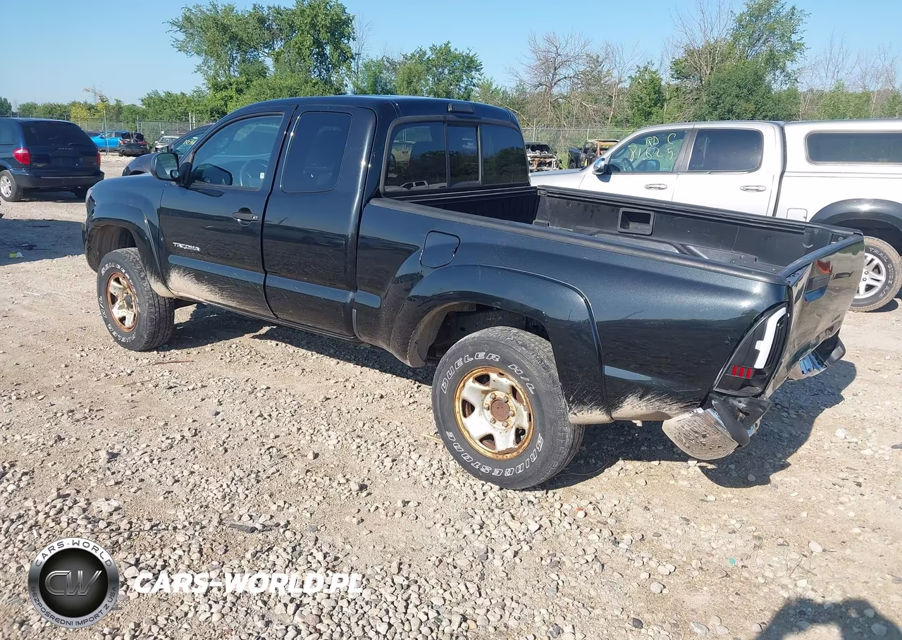 2006 Toyota Tacoma Base V6 VIN:5TEUU42N26Z231268 - 3