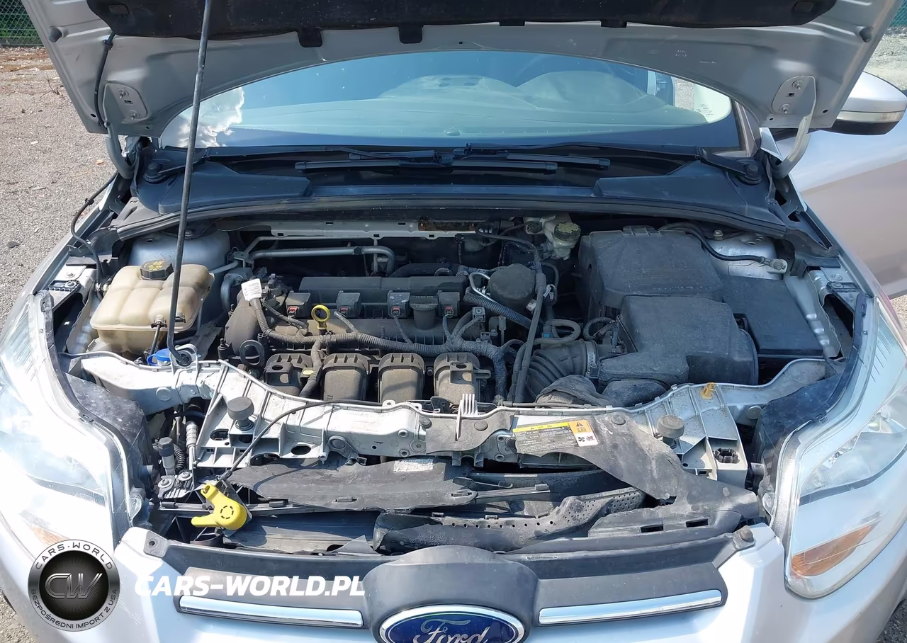 2014 Ford Focus Se VIN:1FADP3K25EL258491 - 10