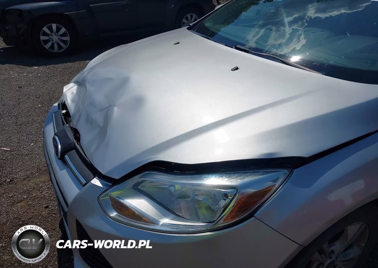 2014 Ford Focus Se VIN:1FADP3K25EL258491 - 13