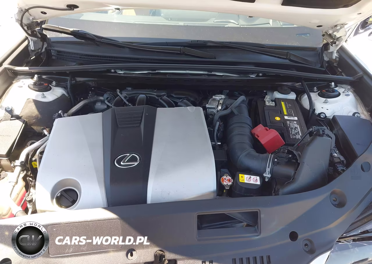 2023 Lexus Es 350 Ultra Luxury VIN:58AFZ1B17PU148407 - 10