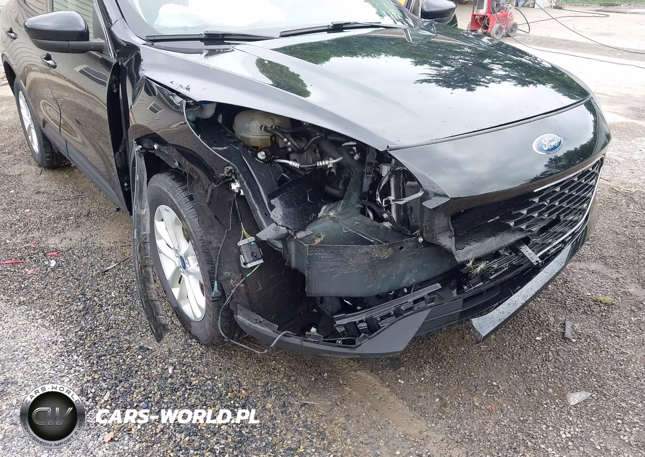 2020 Ford Escape Se VIN:1FMCU0G68LUC64779 - 6