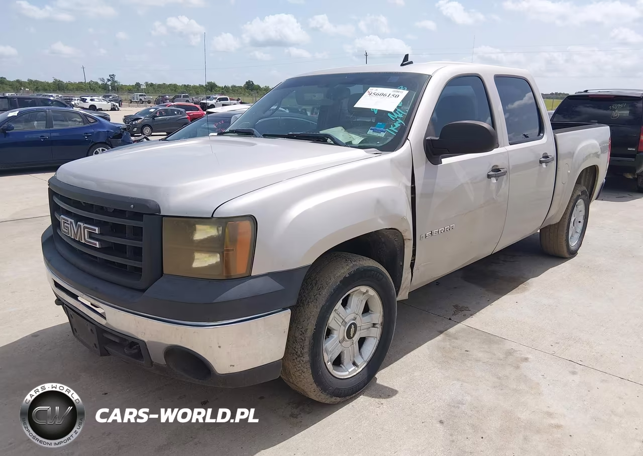 2009 GMC Sierra 1500 Work Truck VIN:3GTEC13C39G221383 - 2