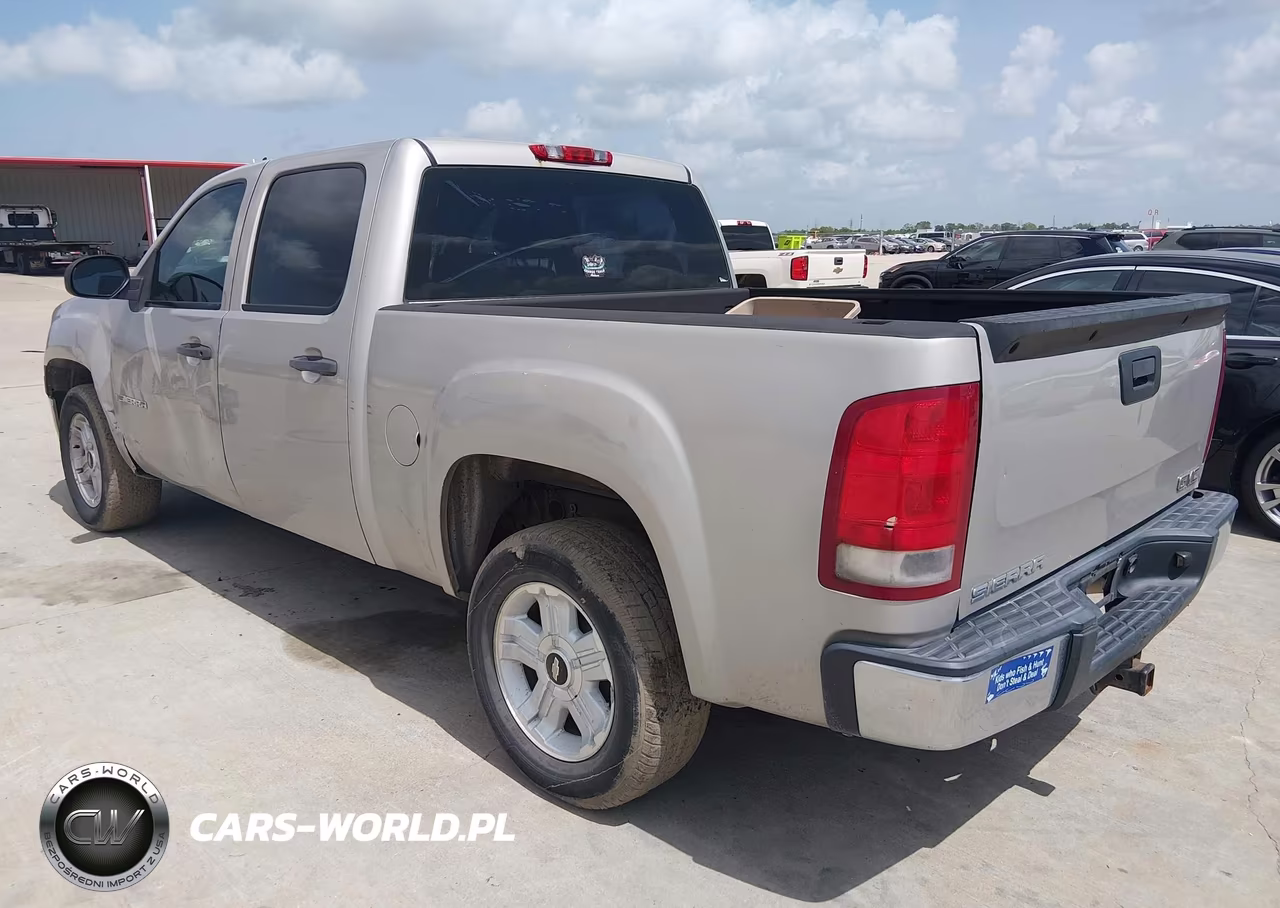 2009 GMC Sierra 1500 Work Truck VIN:3GTEC13C39G221383 - 3