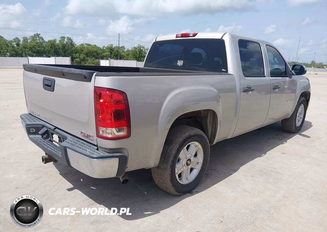 2009 GMC Sierra 1500 Work Truck VIN:3GTEC13C39G221383 - 4