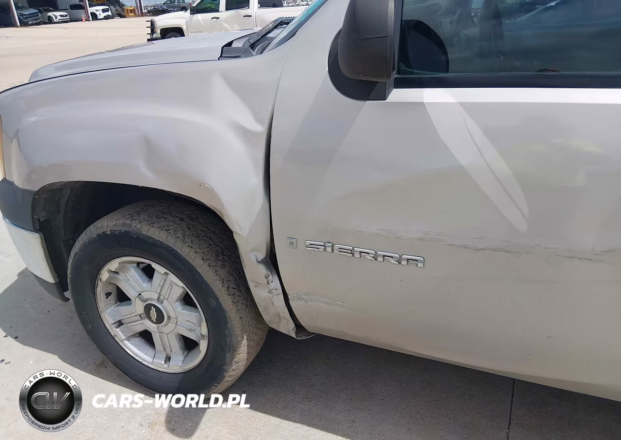 2009 GMC Sierra 1500 Work Truck VIN:3GTEC13C39G221383 - 6