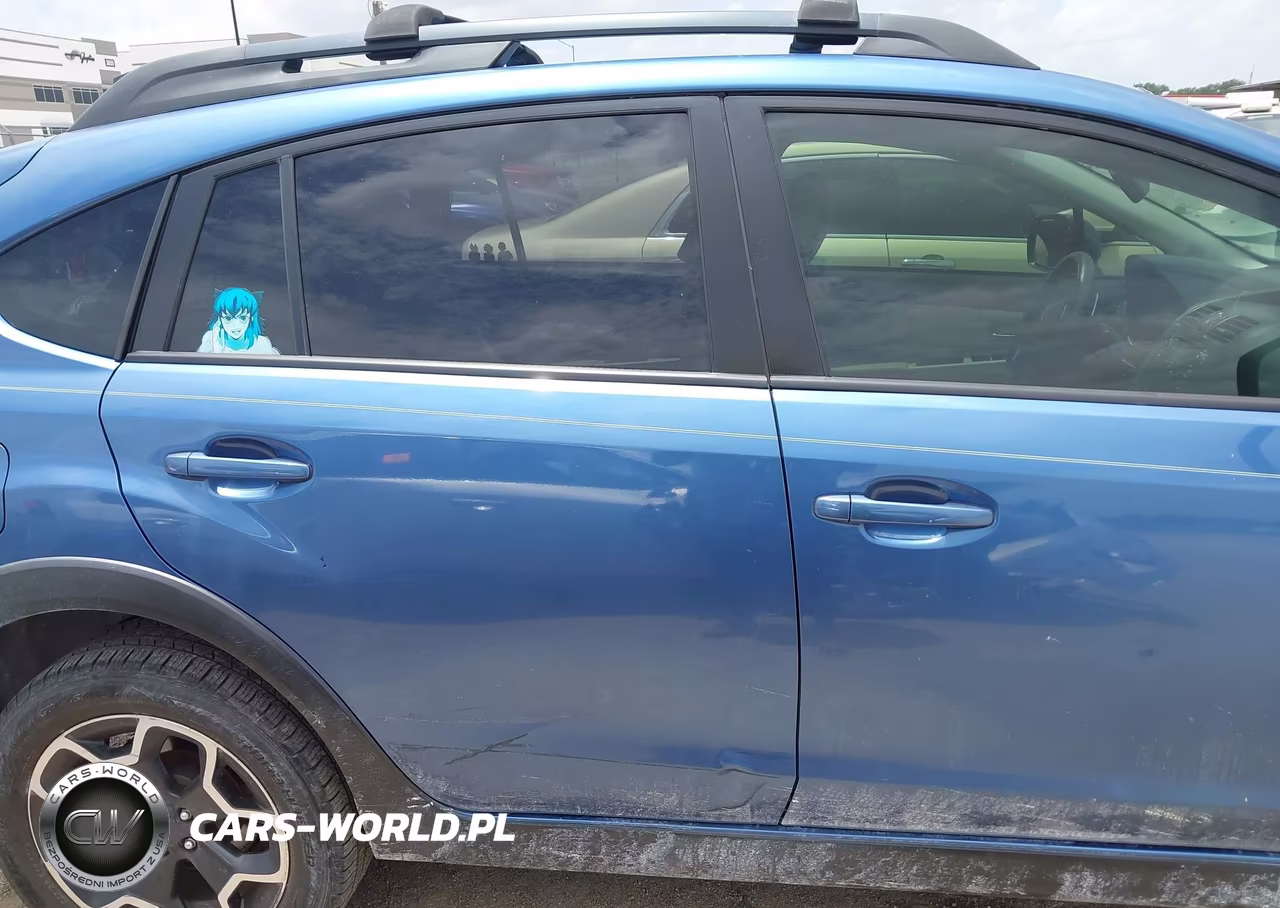 2014 Subaru Xv Crosstrek 2.0I Premium VIN:JF2GPACC6E8282421 - 13