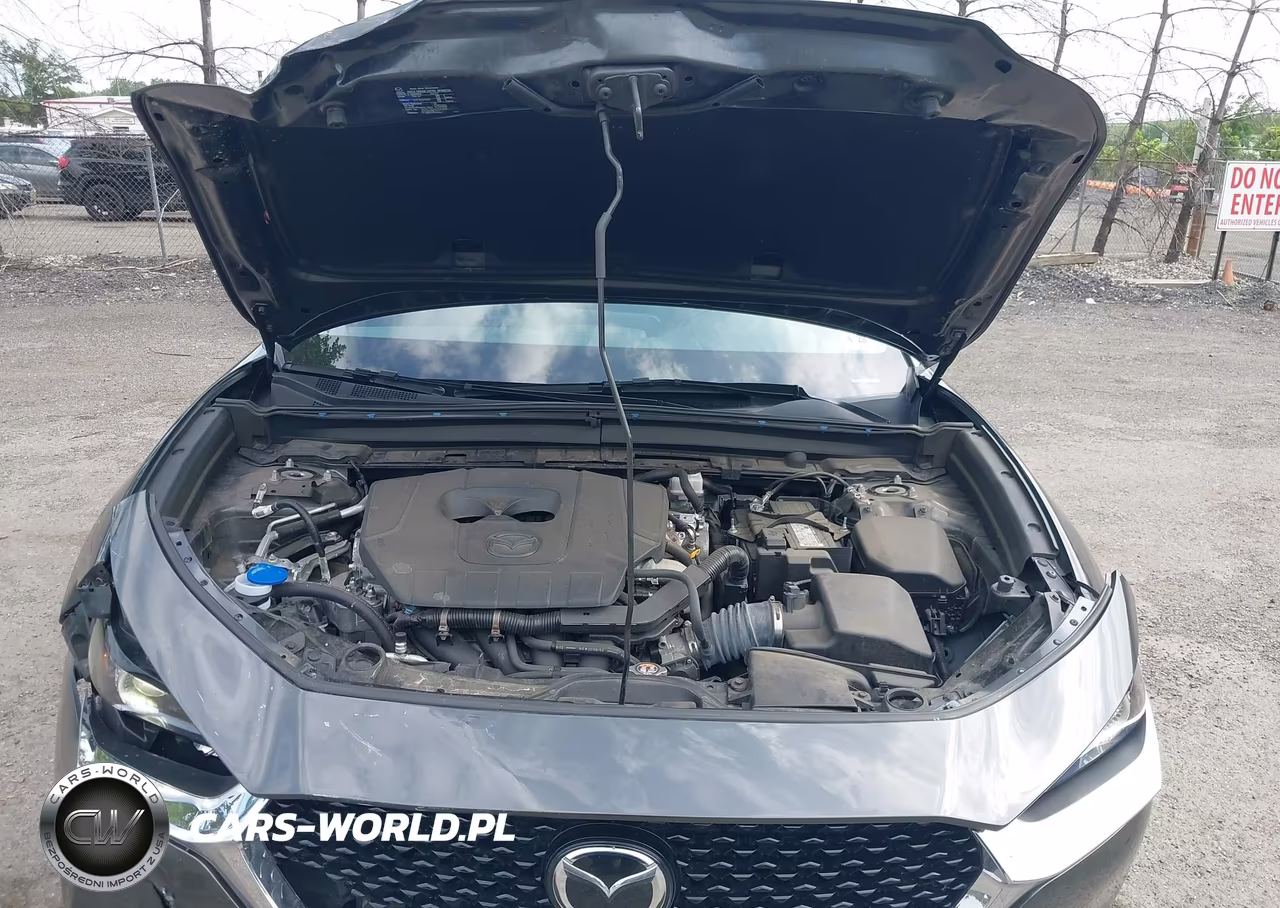 2023 Mazda Cx-30 2.5 S Preferred VIN:3MVDMBCM3PM528749 - 10