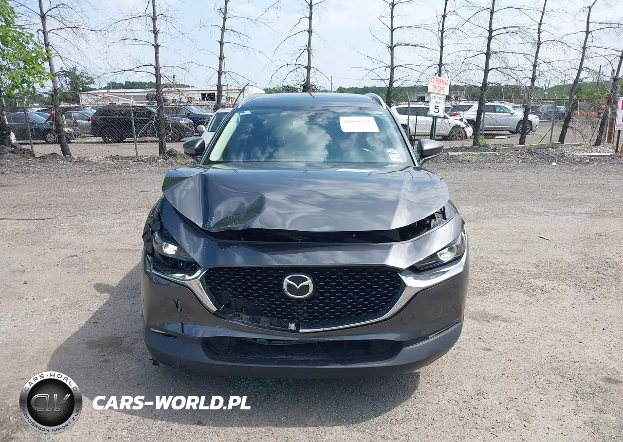 2023 Mazda Cx-30 2.5 S Preferred VIN:3MVDMBCM3PM528749 - 12