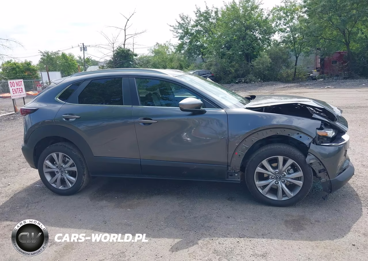 2023 Mazda Cx-30 2.5 S Preferred VIN:3MVDMBCM3PM528749 - 13