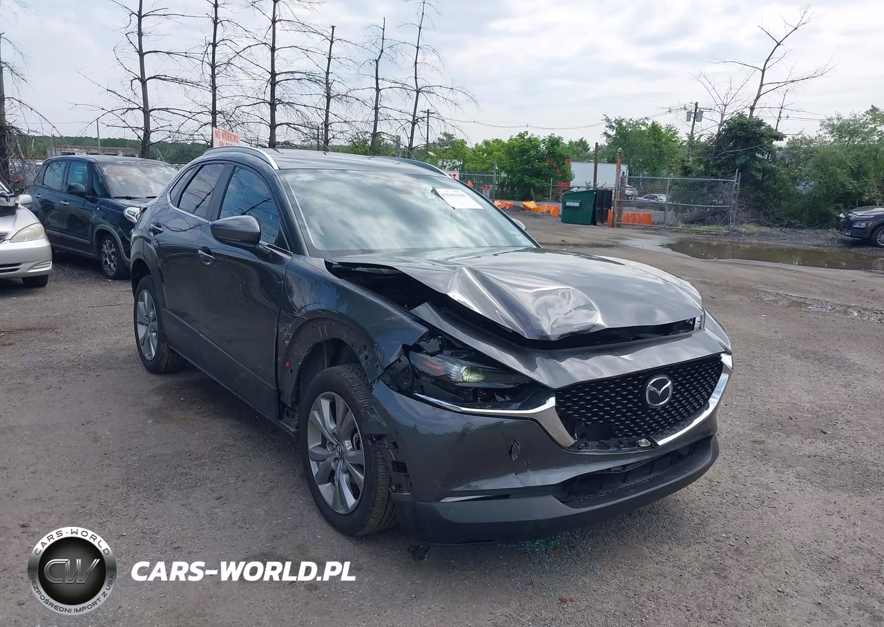 2023 Mazda Cx-30 2.5 S Preferred VIN:3MVDMBCM3PM528749 - 6