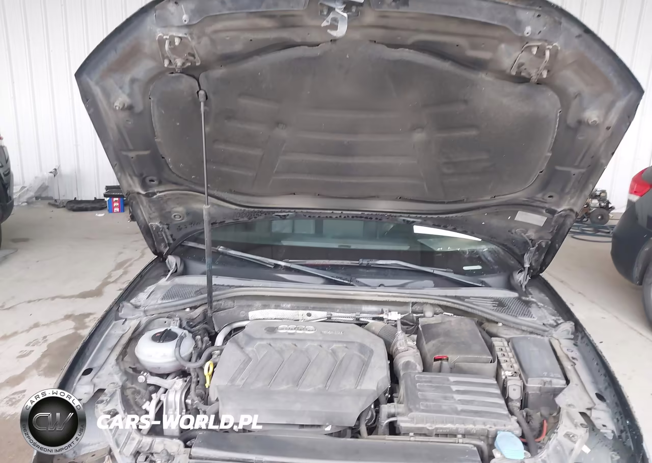 2017 Audi A3 Premium VIN:WAUAUGFF3H1044140 - 10
