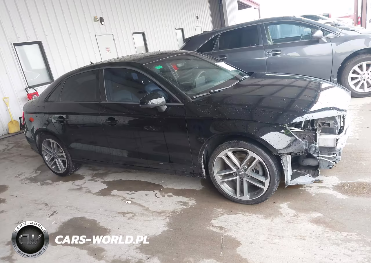 2017 Audi A3 Premium VIN:WAUAUGFF3H1044140 - 13