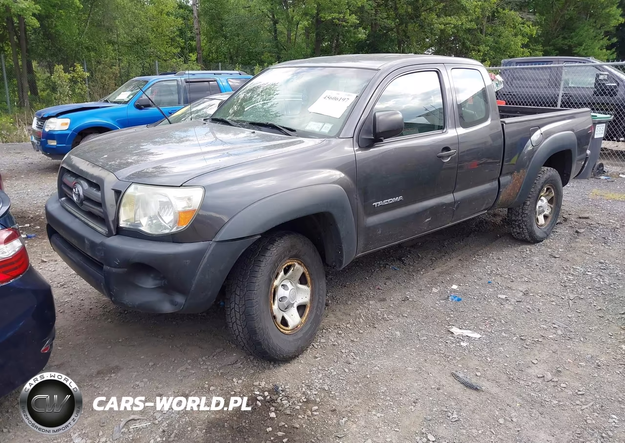 2010 Toyota Tacoma VIN:5TEUX4EN4AZ743853 - 2
