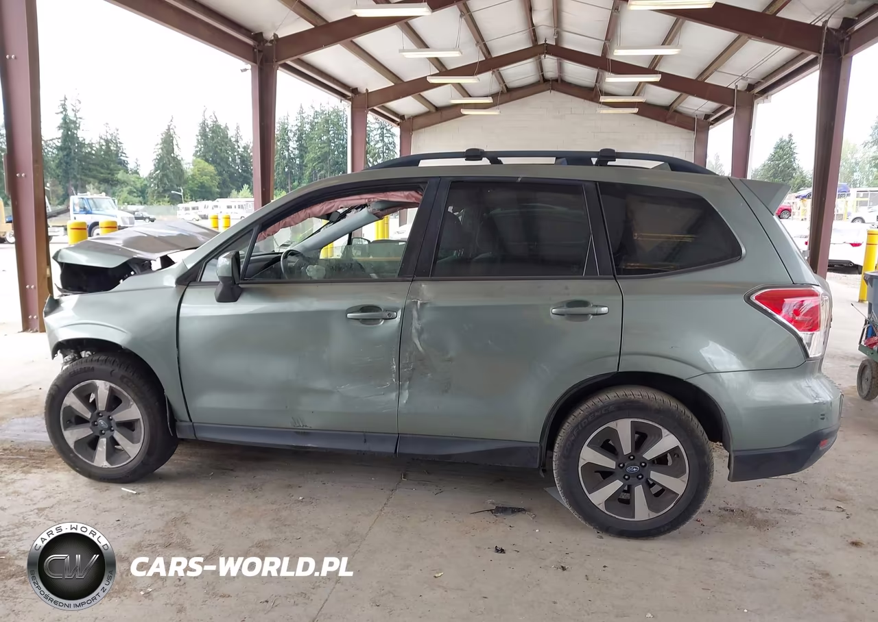 2017 Subaru Forester 2.5I Premium VIN:JF2SJAGC9HH804498 - 13